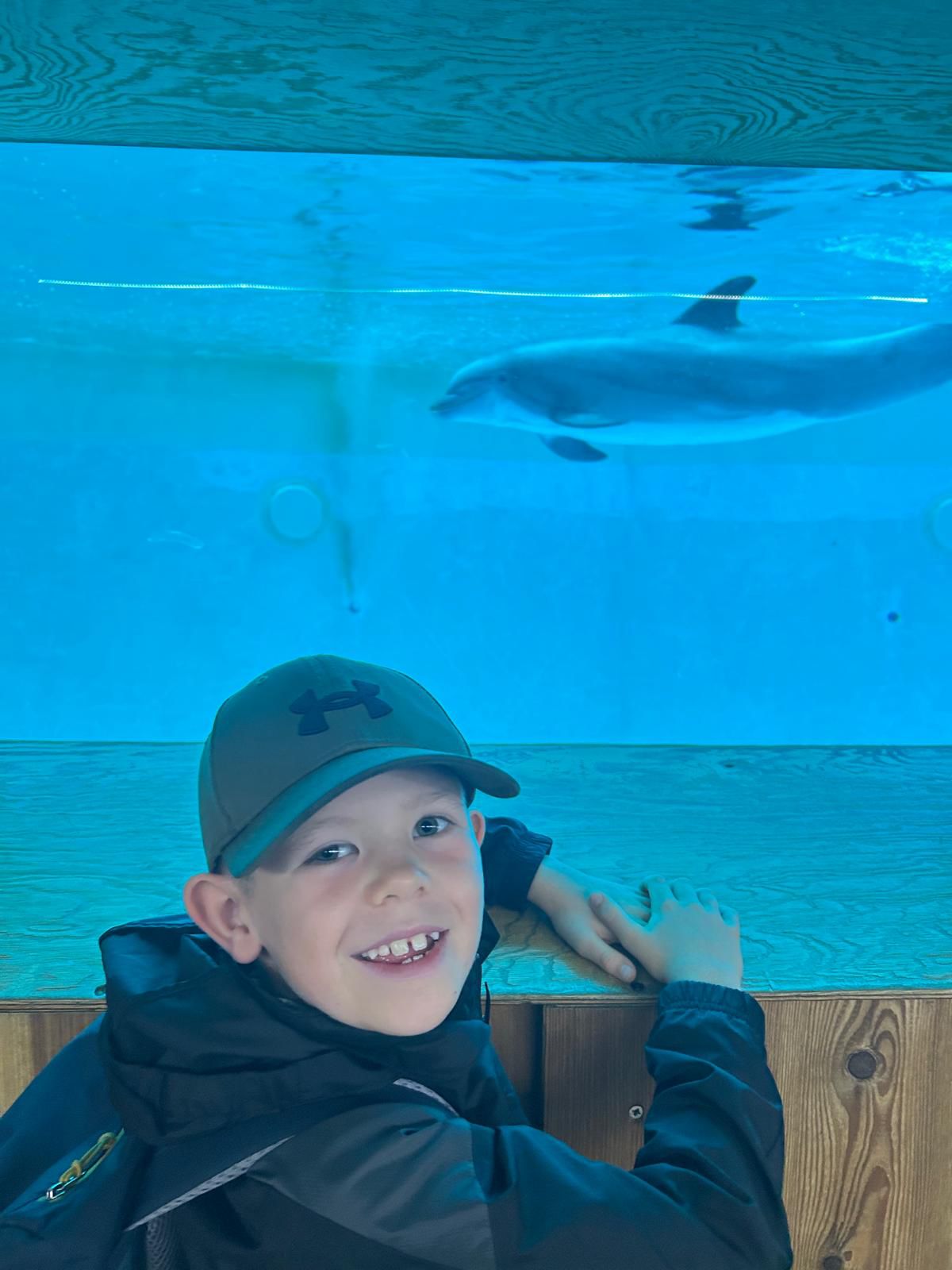 Henri im Delphinarium