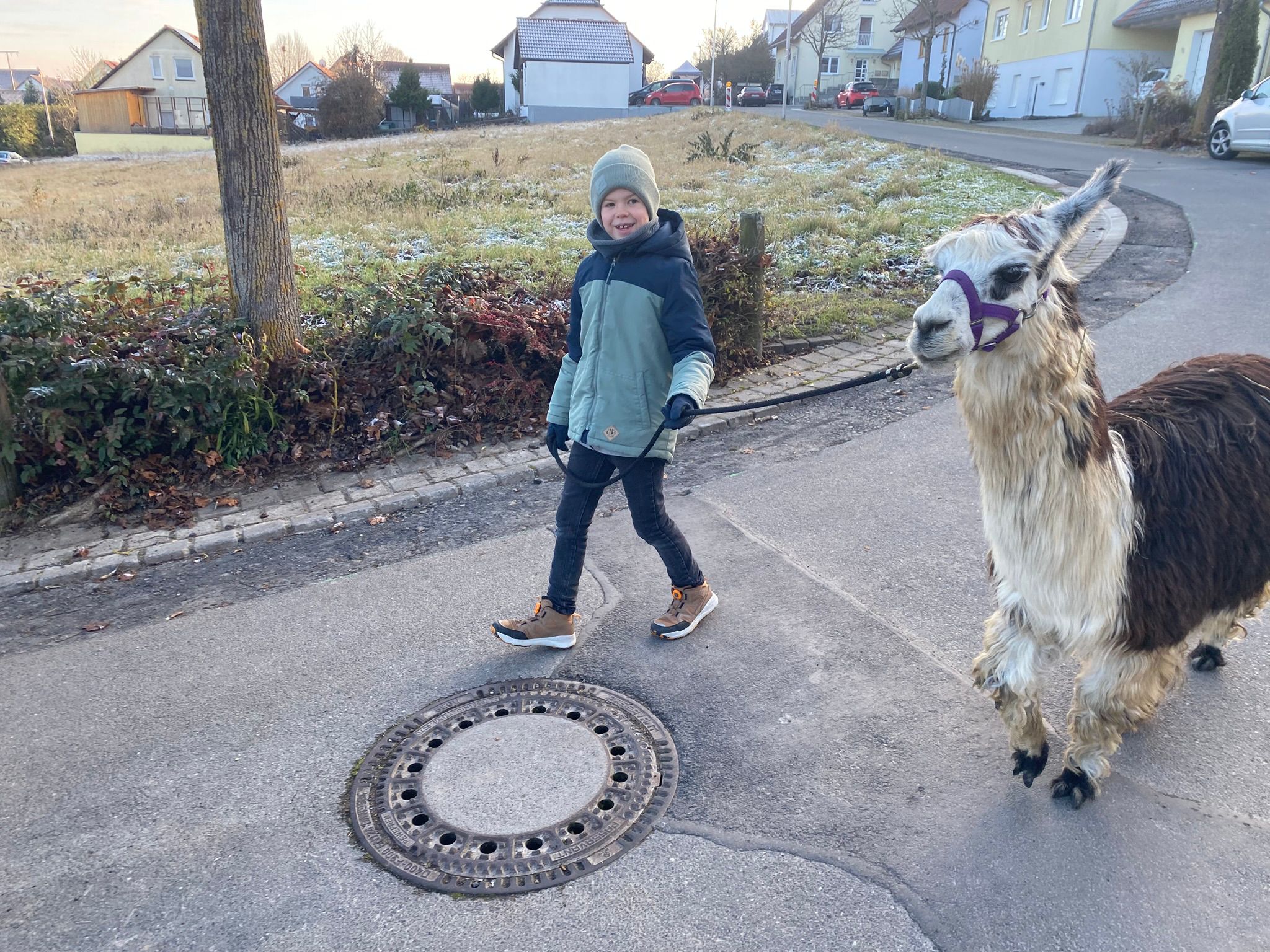 Henri mit Lama